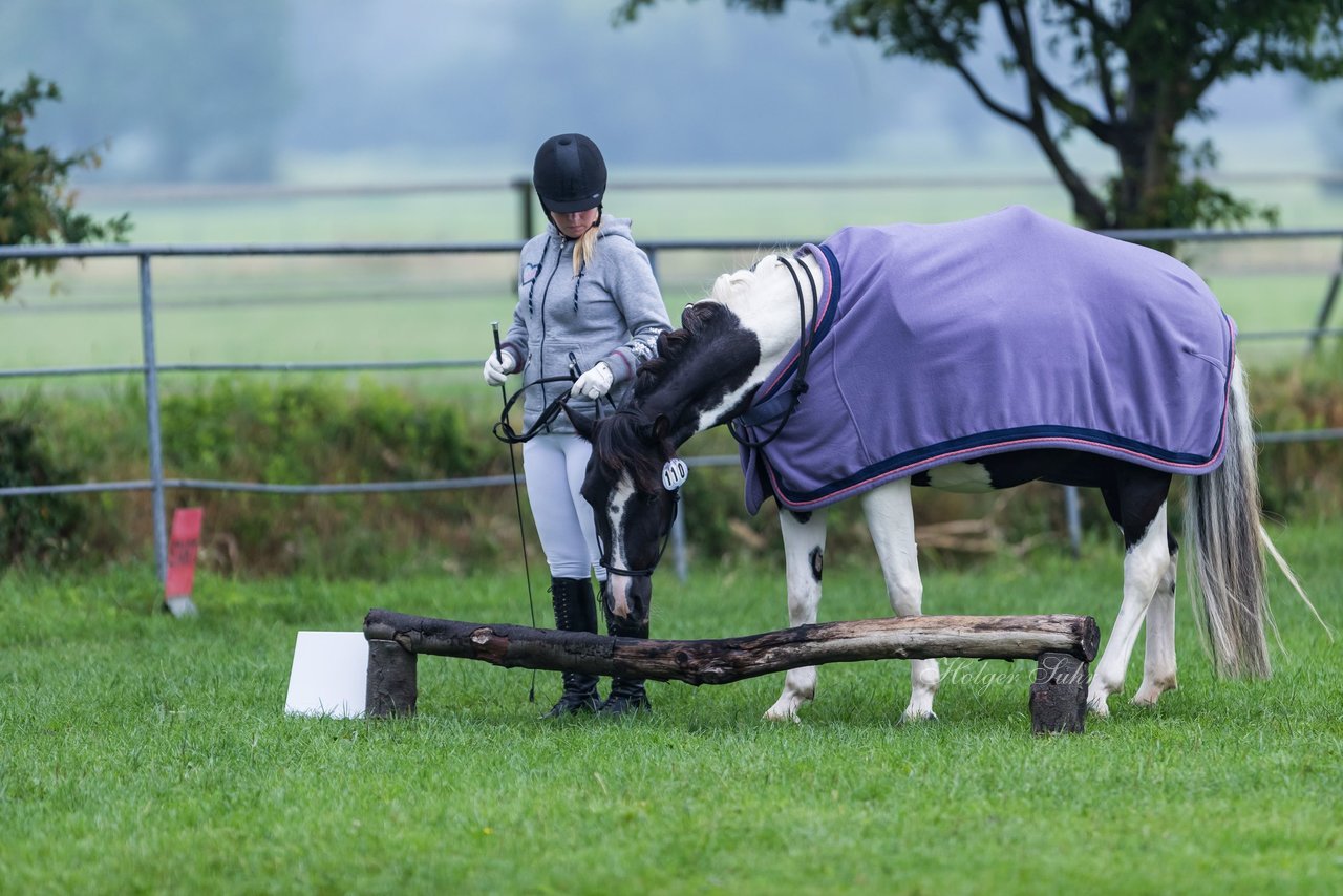 Bild 10 - Pony Akademie Turnier